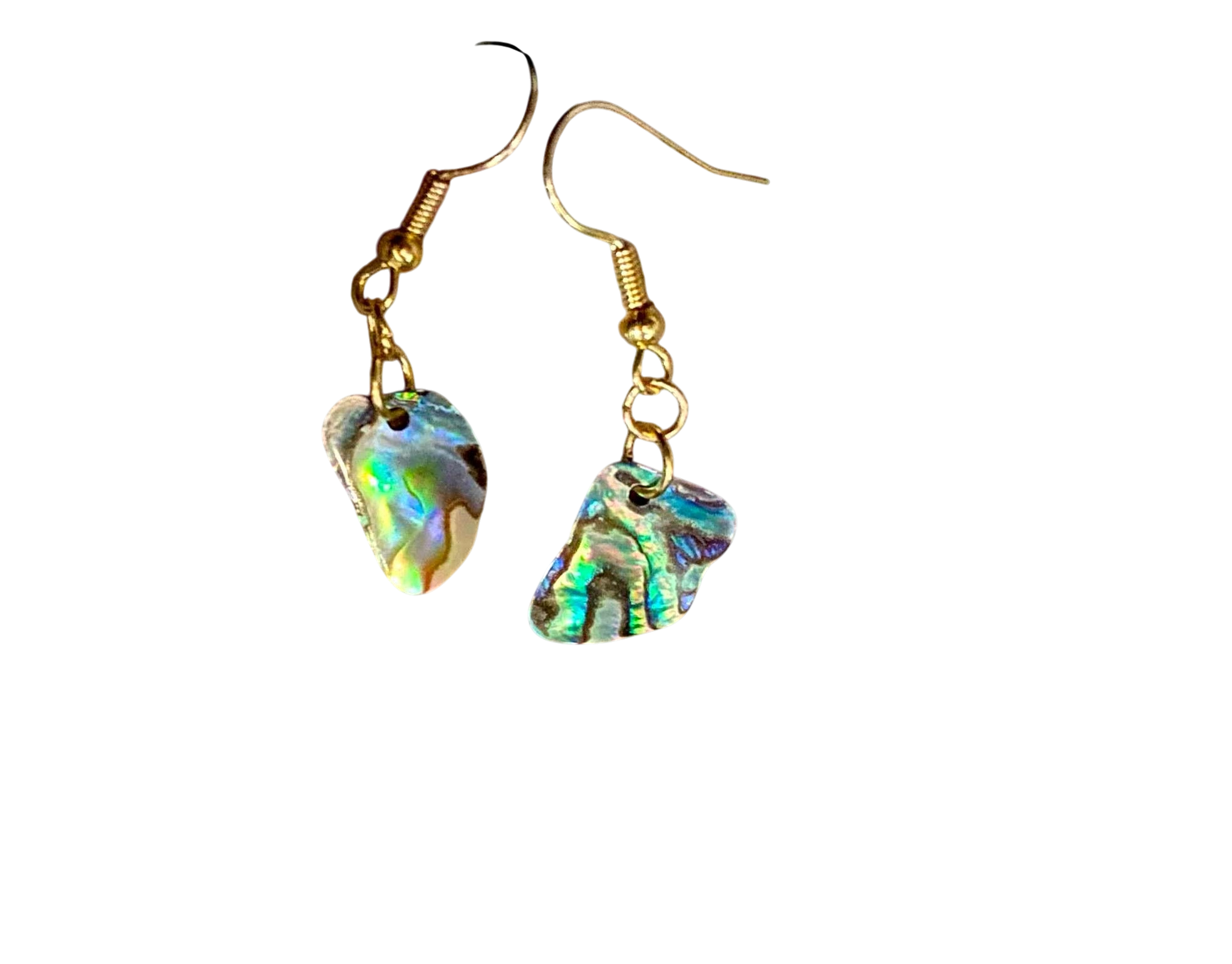 Paua Shell Earrings